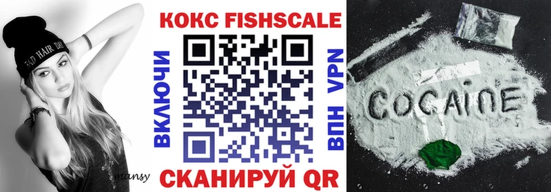 COCAIN Fish Scale  Купить закладки  Ефремов 