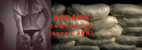 амф Корсаков