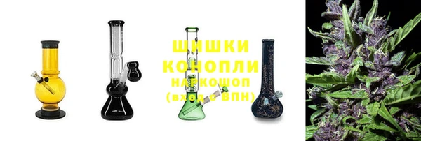 амф Корсаков