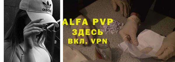 амф Корсаков
