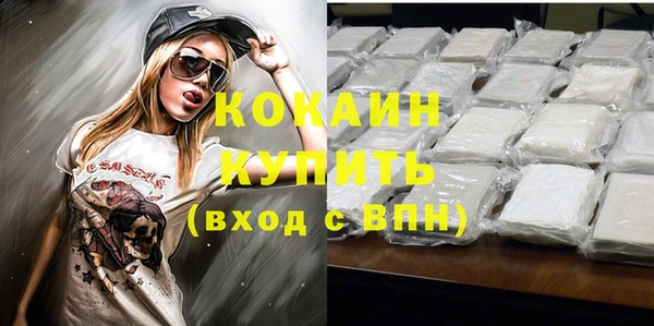 гашик Коряжма