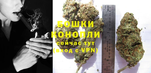 гашик Коряжма