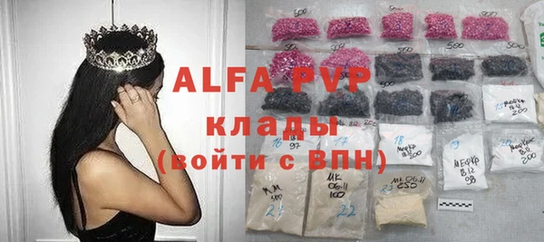 гашик Коряжма