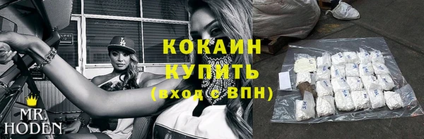 гашик Коряжма