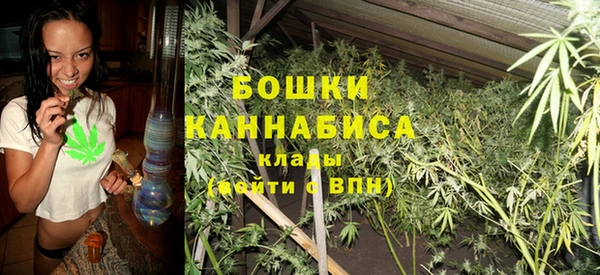 гашик Коряжма