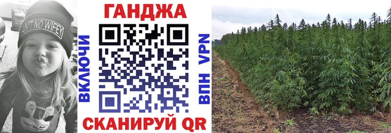 Конопля гибрид  Купить закладки  Ефремов 